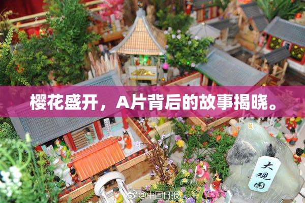 樱花盛开，A片背后的故事揭晓。