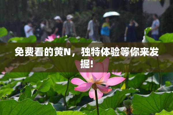 免费看的黄Ν，独特体验等你来发掘!