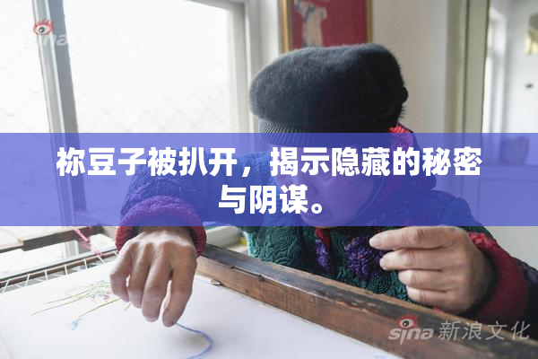 祢豆子被扒开，揭示隐藏的秘密与阴谋。