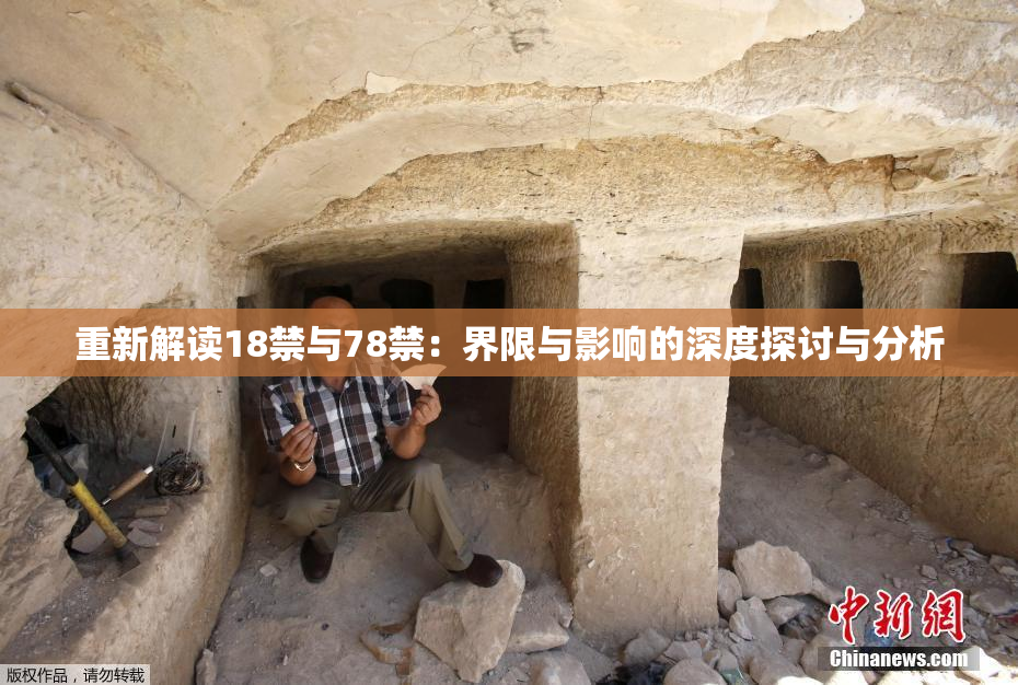 重新解读18禁与78禁：界限与影响的深度探讨与分析