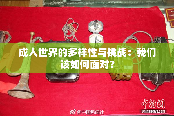成人世界的多样性与挑战：我们该如何面对？