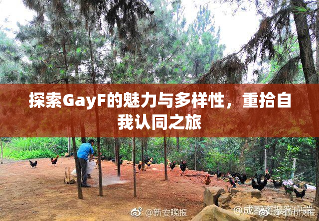 探索GayF的魅力与多样性，重拾自我认同之旅