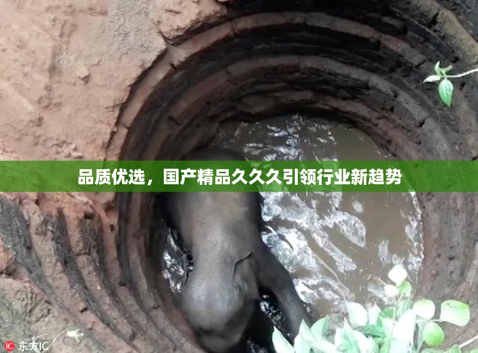 品质优选，国产精品久久久引领行业新趋势