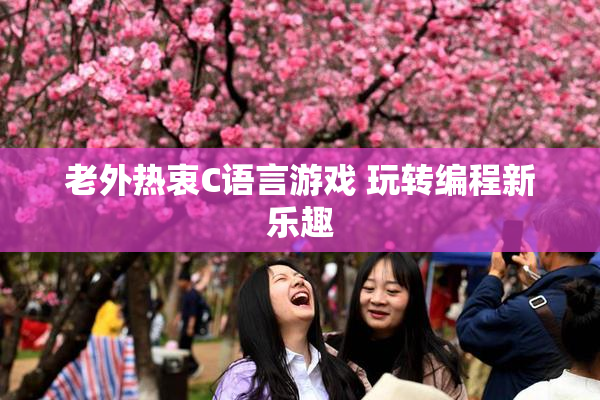 老外热衷C语言游戏 玩转编程新乐趣