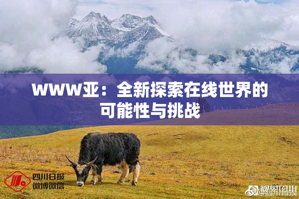 WWW亚：全新探索在线世界的可能性与挑战