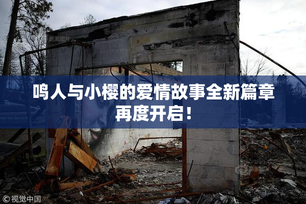 鸣人与小樱的爱情故事全新篇章再度开启！