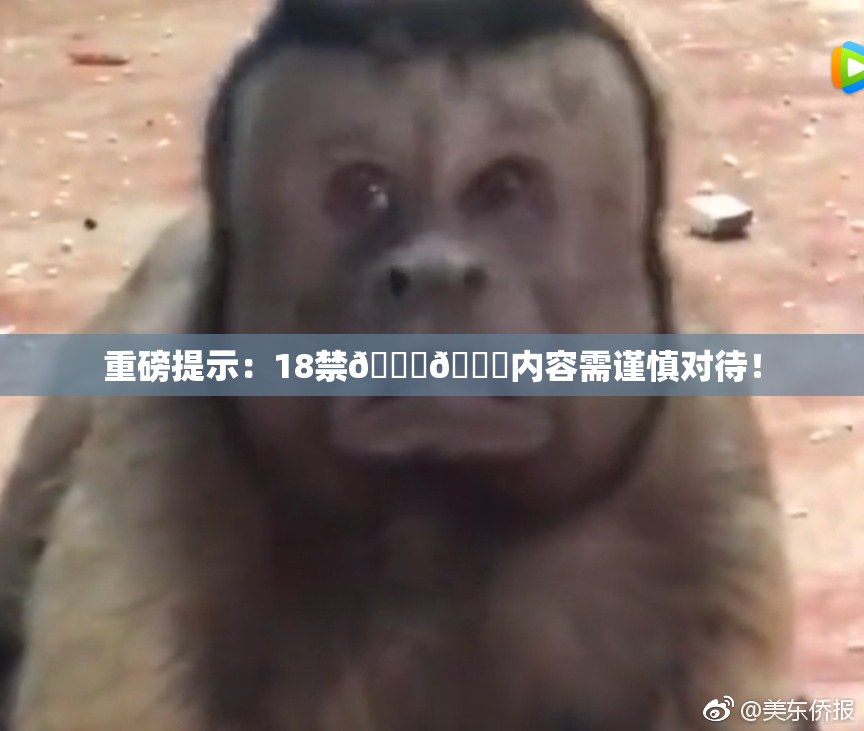 重磅提示：18禁🍆🍑内容需谨慎对待！