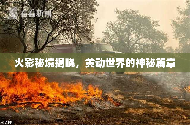火影秘境揭晓，黄动世界的神秘篇章