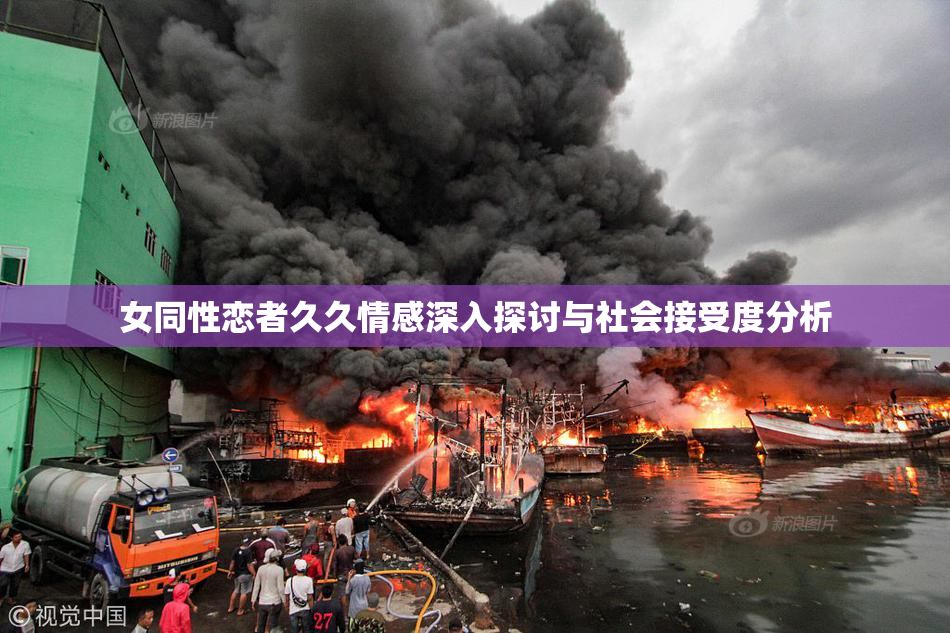 女同性恋者久久情感深入探讨与社会接受度分析