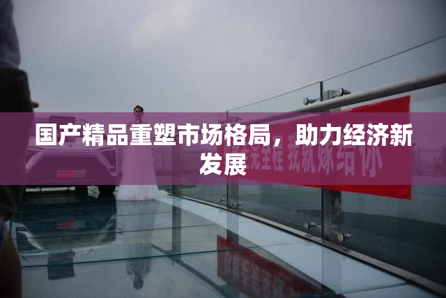 国产精品重塑市场格局，助力经济新发展