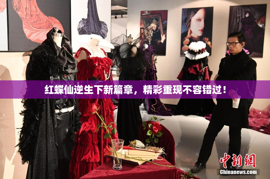 红蝶仙逆生下新篇章，精彩重现不容错过！