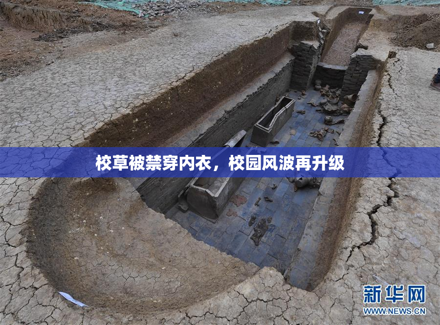 校草被禁穿内衣，校园风波再升级