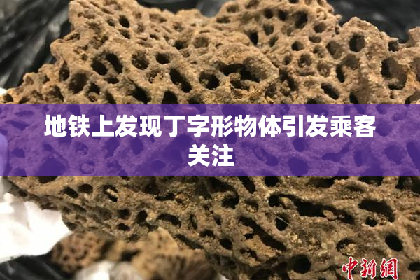 地铁上发现丁字形物体引发乘客关注