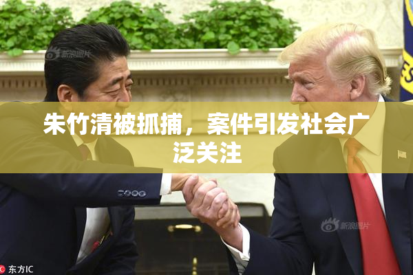 朱竹清被抓捕，案件引发社会广泛关注