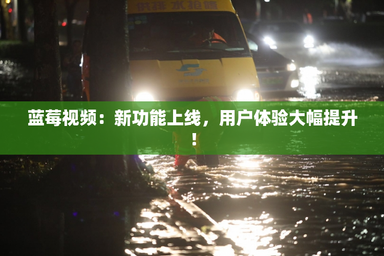 蓝莓视频：新功能上线，用户体验大幅提升！
