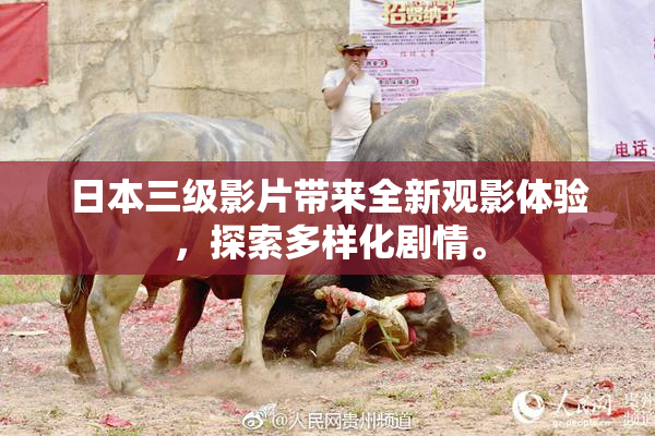 日本三级影片带来全新观影体验，探索多样化剧情。
