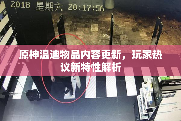 原神温迪物品内容更新，玩家热议新特性解析