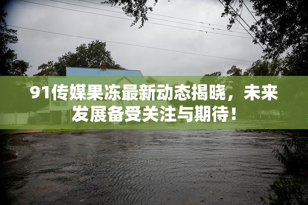 91传媒果冻最新动态揭晓，未来发展备受关注与期待！