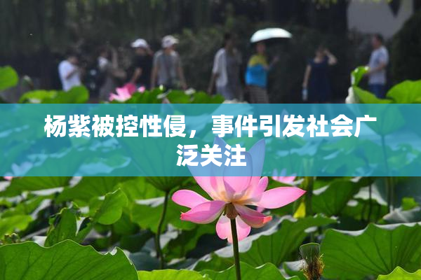 杨紫被控性侵，事件引发社会广泛关注
