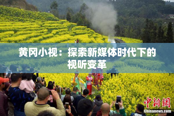 黄冈小视：探索新媒体时代下的视听变革