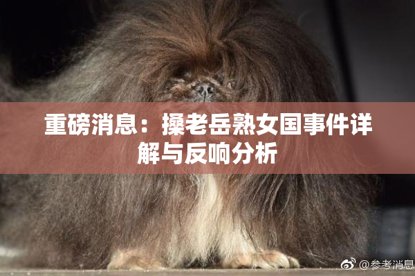 重磅消息：搡老岳熟女国事件详解与反响分析