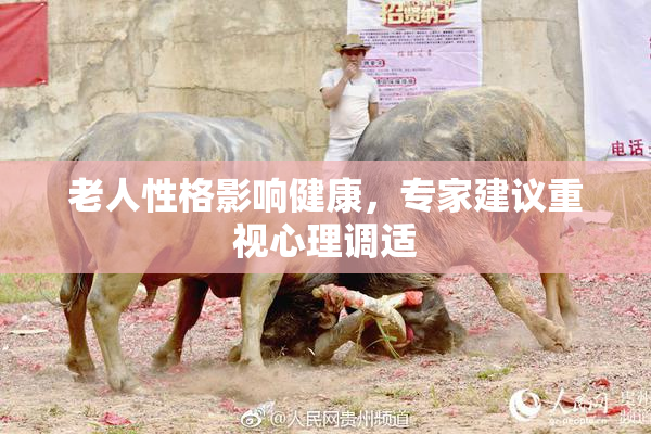 老人性格影响健康，专家建议重视心理调适