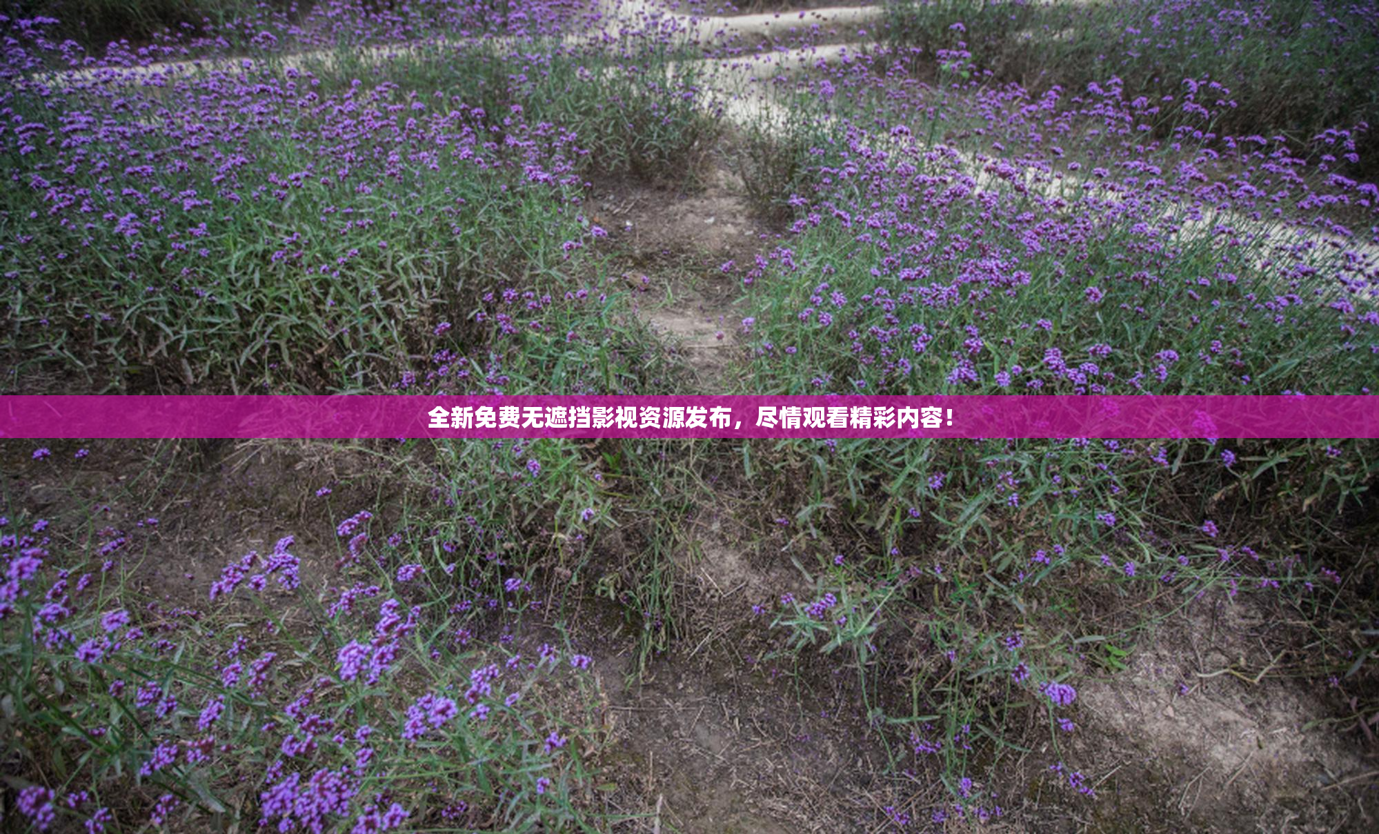 全新免费无遮挡影视资源发布，尽情观看精彩内容！