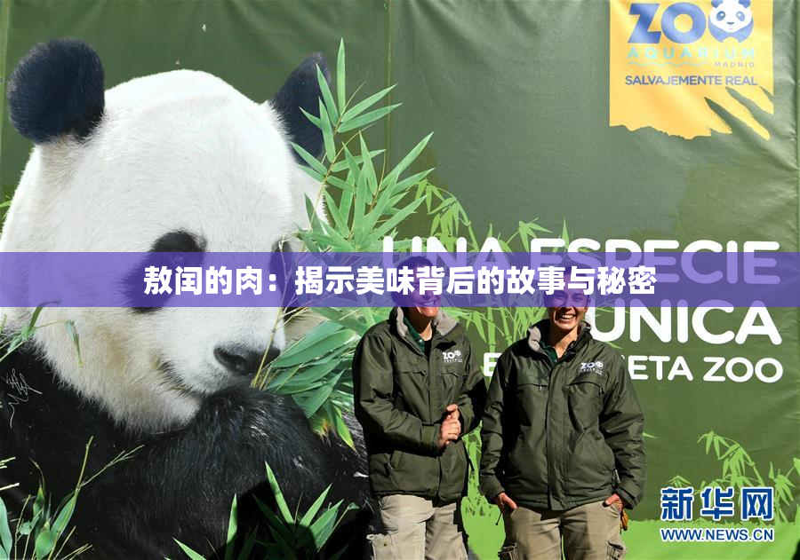 敖闰的肉：揭示美味背后的故事与秘密