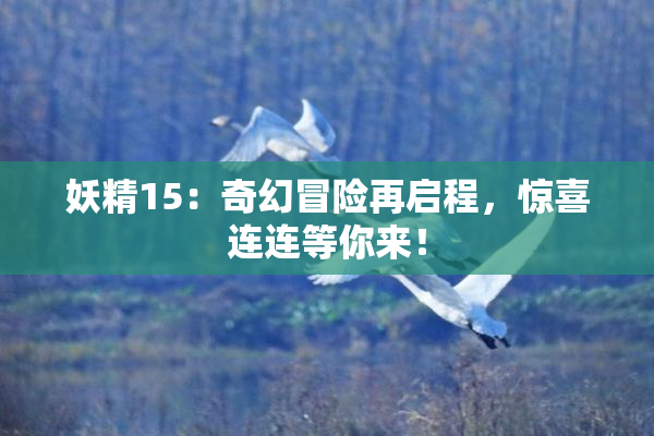 妖精15：奇幻冒险再启程，惊喜连连等你来！