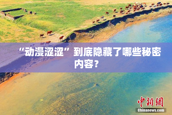 “动漫涩涩”到底隐藏了哪些秘密内容？
