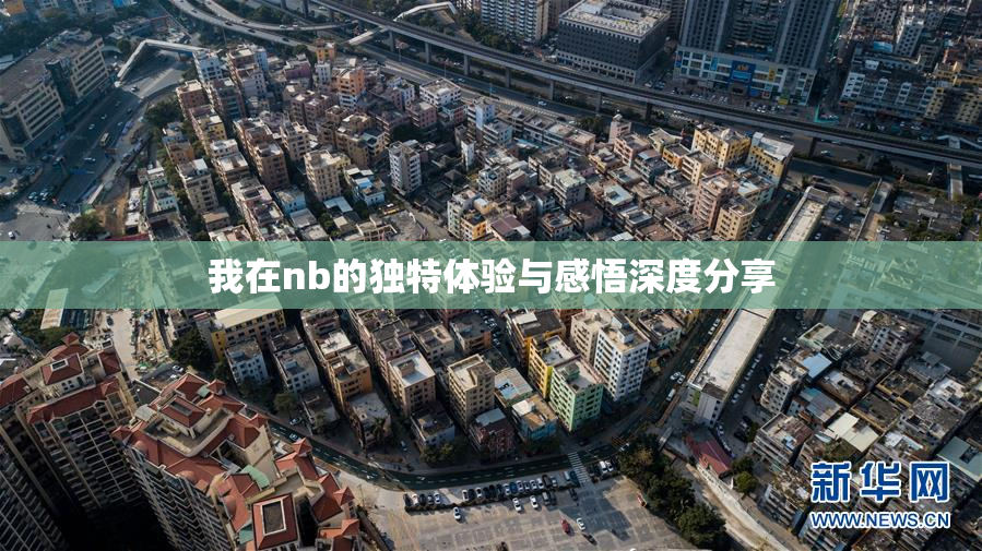 我在nb的独特体验与感悟深度分享