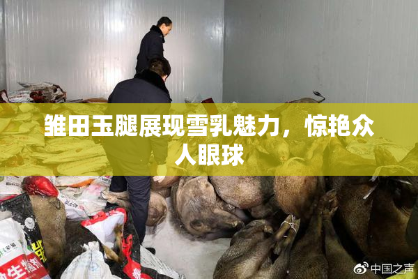 雏田玉腿展现雪乳魅力，惊艳众人眼球