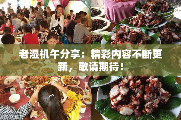 老湿机午分享：精彩内容不断更新，敬请期待！