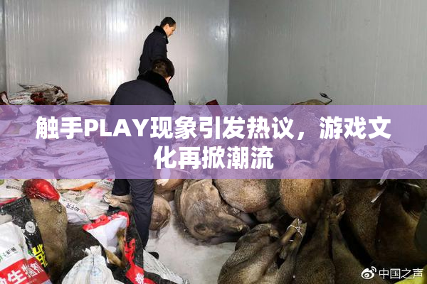 触手PLAY现象引发热议，游戏文化再掀潮流