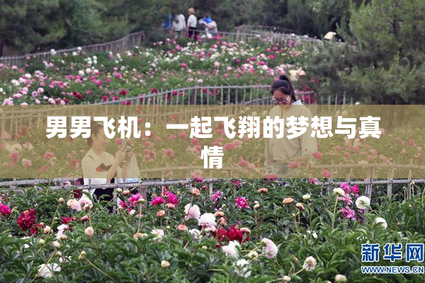 男男飞机：一起飞翔的梦想与真情