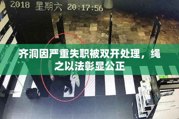 齐洞因严重失职被双开处理，绳之以法彰显公正