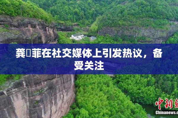 龚玥菲在社交媒体上引发热议，备受关注