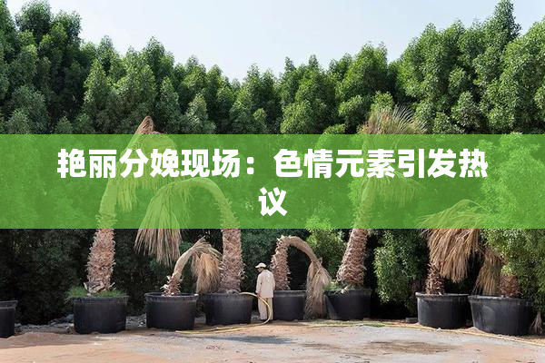 艳丽分娩现场：色情元素引发热议