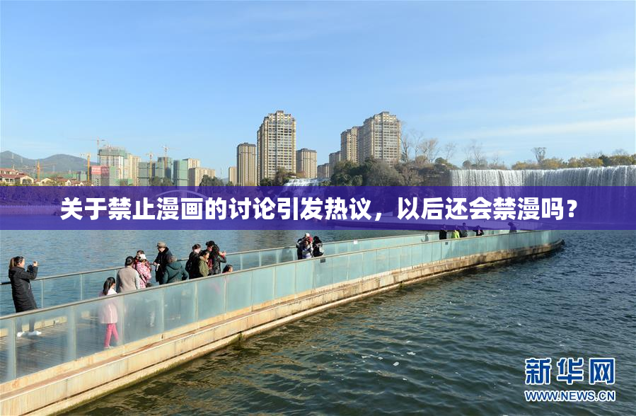 关于禁止漫画的讨论引发热议，以后还会禁漫吗？