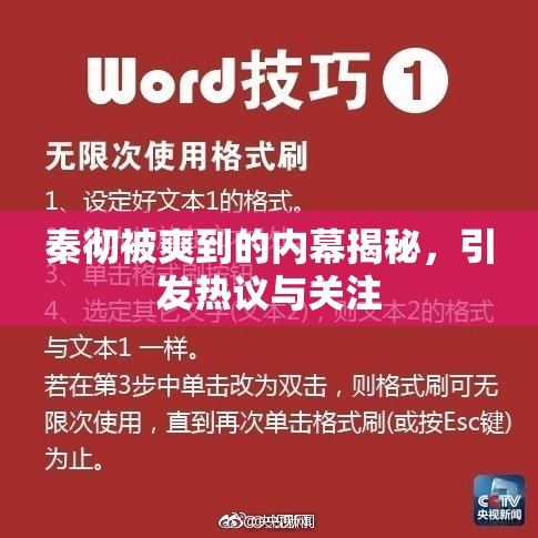 秦彻被爽到的内幕揭秘，引发热议与关注