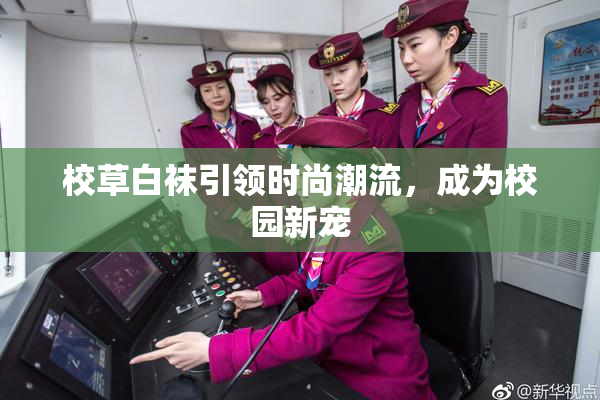 校草白袜引领时尚潮流，成为校园新宠