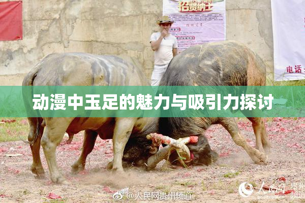 动漫中玉足的魅力与吸引力探讨