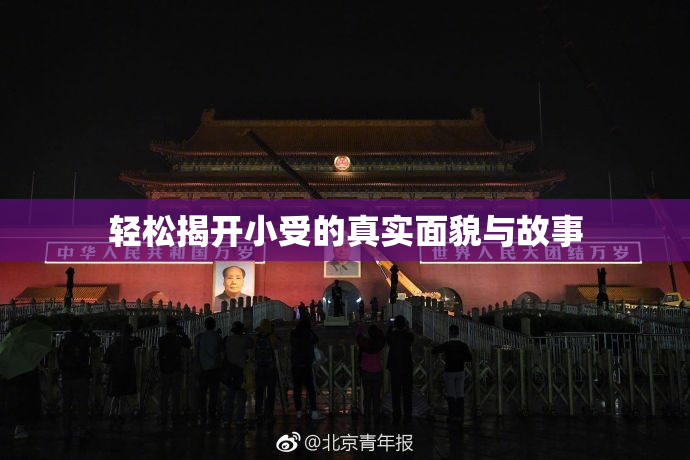 轻松揭开小受的真实面貌与故事