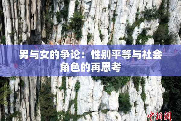 男与女的争论：性别平等与社会角色的再思考