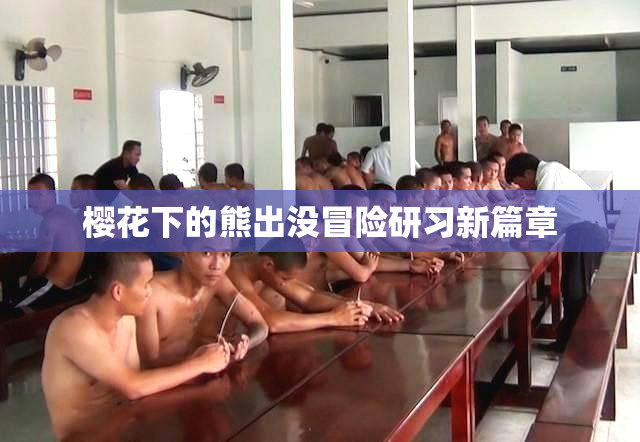 樱花下的熊出没冒险研习新篇章
