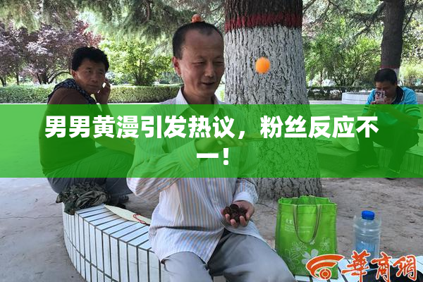 男男黄漫引发热议，粉丝反应不一！