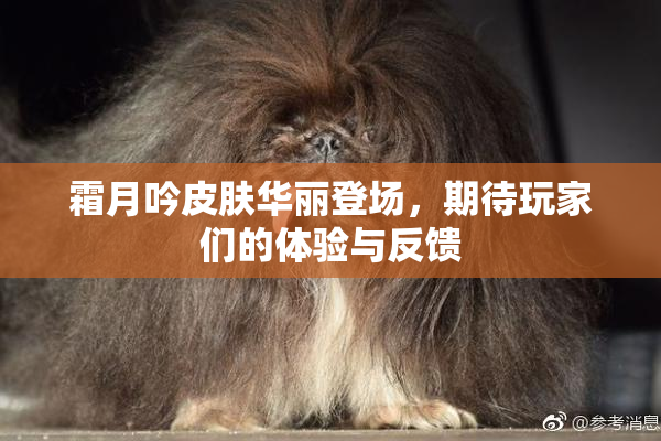霜月吟皮肤华丽登场，期待玩家们的体验与反馈