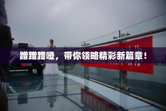 蹭蹭蹭噔，带你领略精彩新篇章！