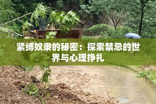紧缚奴隶的秘密：探索禁忌的世界与心理挣扎