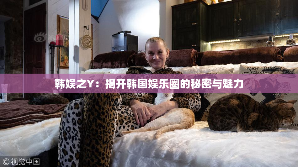 韩娱之Y：揭开韩国娱乐圈的秘密与魅力